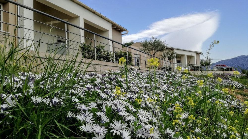 Agia  Aksos Suites Accessible Accommodation מראה חיצוני תמונה