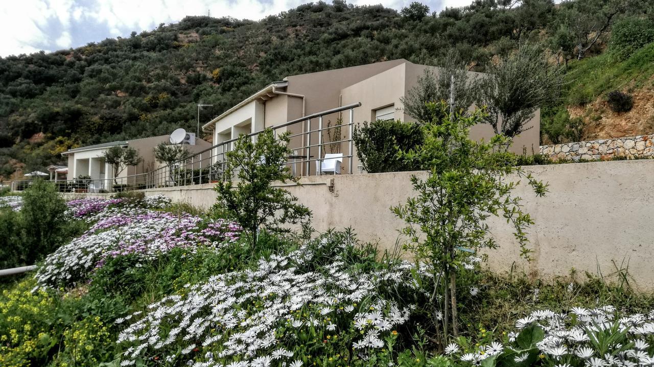 Agia  Aksos Suites Accessible Accommodation מראה חיצוני תמונה